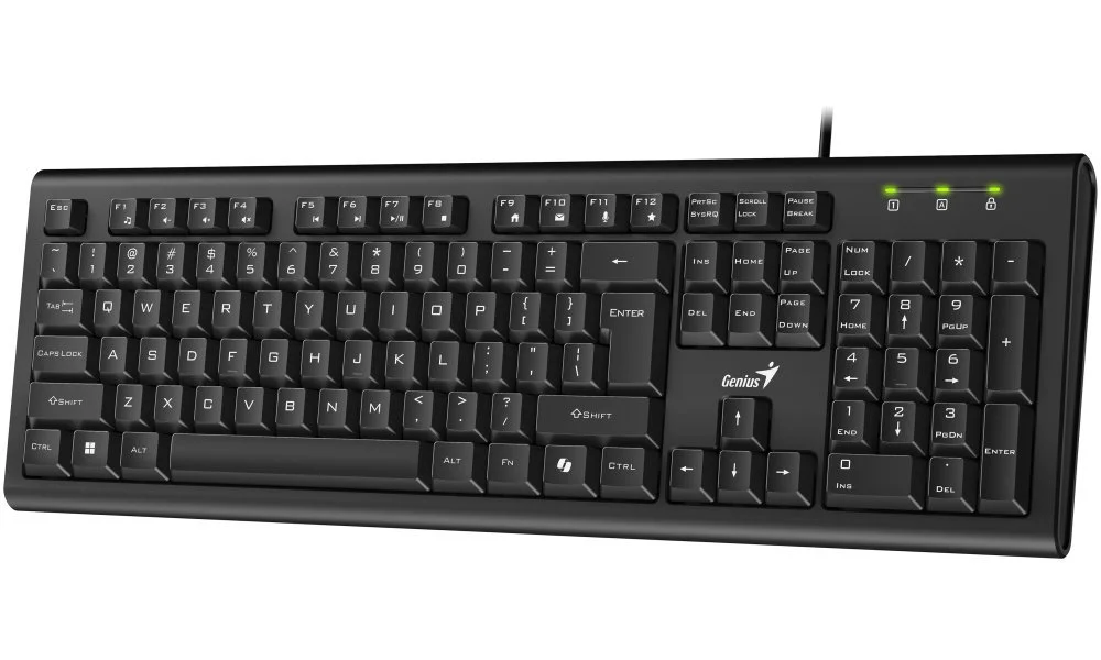 TECLADO-GENIUS-KB-113-USB-BLACK-y