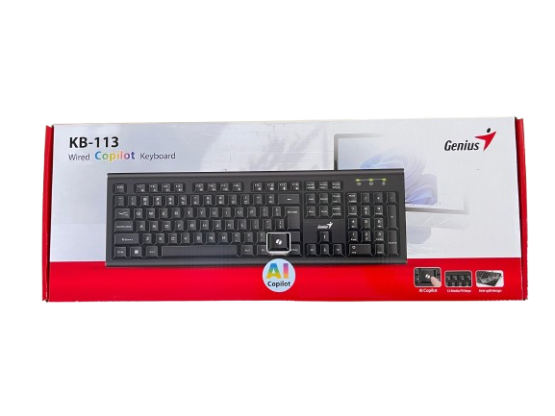 TECLADO GENIUS KB-113 USB NEGRO - Imagen 2